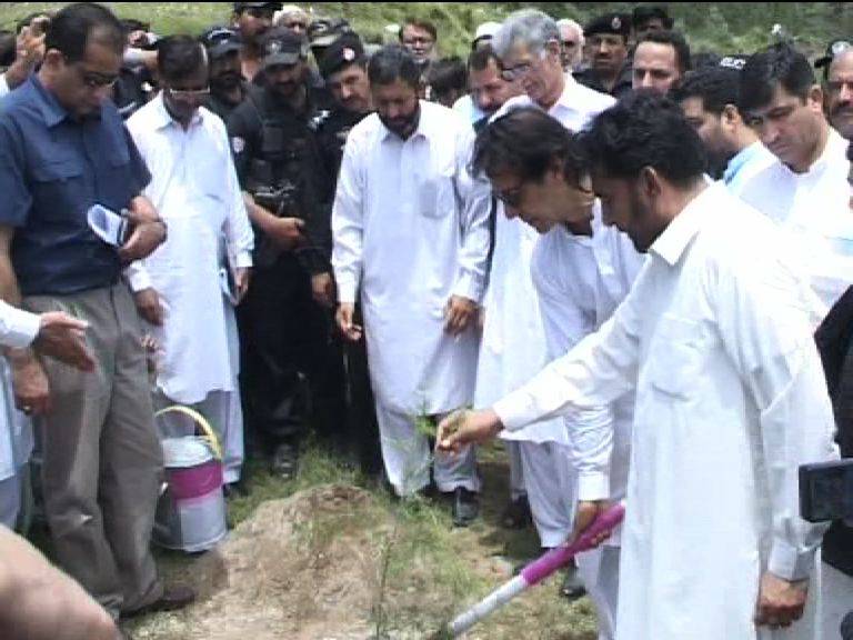  خیبرپختونخوا حکومت کا ایک ارب درخت لگانے کا خواب چکنا چور ہوگیا