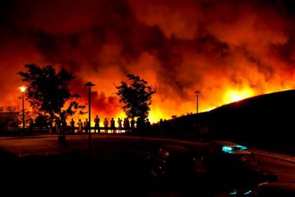  پرتگال کے جنگلات میں آگ لگنے سے 24 افراد ہلاک