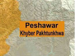 پشاور :پاکستان کی جیت پر عوام کاجنون بے قابو ،فائرنگ کے الزام میں16افراد گرفتار