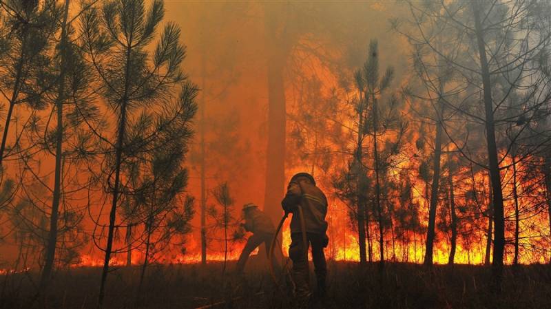 پرتگال کے جنگلات میں لگنے والی آگ سے ہلاکتوں کی تعداد 62ہوگئی