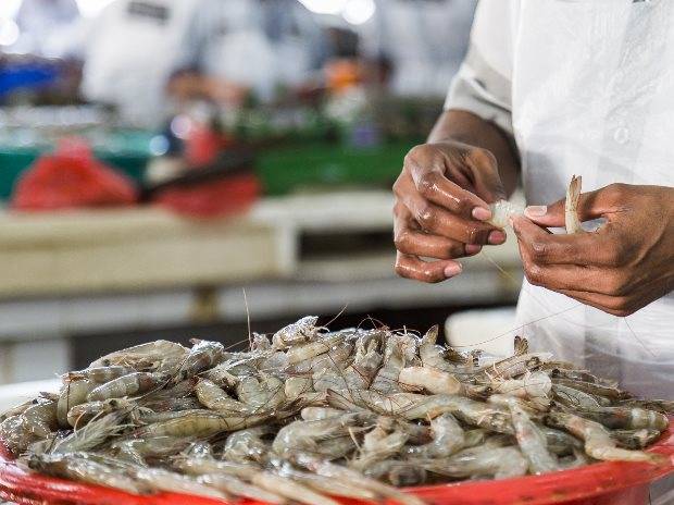 پاکستان کی سمندری خوراک کی برآمدات میں 19 فیصد اضافہ