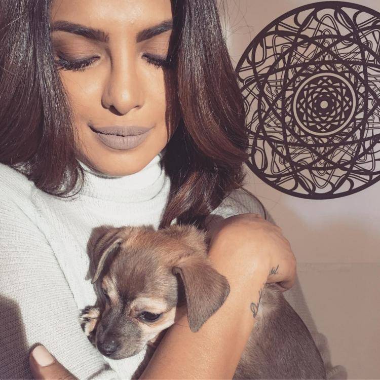 پریانکا چوپڑا نے اپنے کتے ڈیانا کے ساتھ تازہ سیلفی انسٹاگرام پر شیئر کر دی