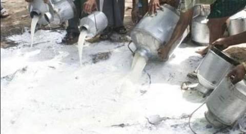 پنجاب فوڈ اتھارٹی نے 12000 لیٹر مضر صحت دودھ تلف کردیا