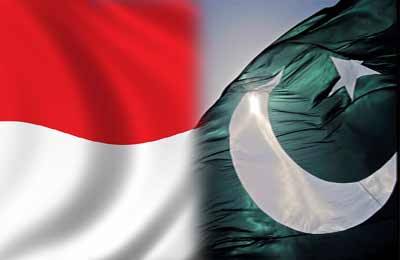 پاکستان اور انڈونیشیا کے درمیان دوطرفہ مشاورتی فورم کا پہلا اجلاس