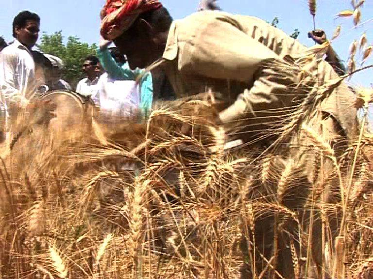 ملک میں پہلی بار کسانوں کو فصل کے عوض قرضہ کی فراہمی شروع