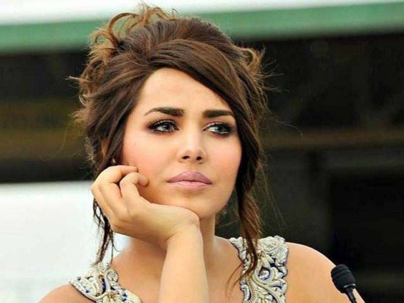  ایان علی کو بھارتی فلموں میں کام کر نے کی پیشکش 