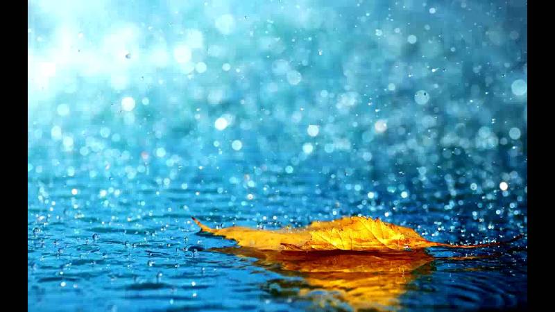 آج پنجاب اور سندھ سمیت بیشتر علاقوں میں گرج چمک کیساتھ بارشوں کی توقع ہے: محکمہ موسمیات