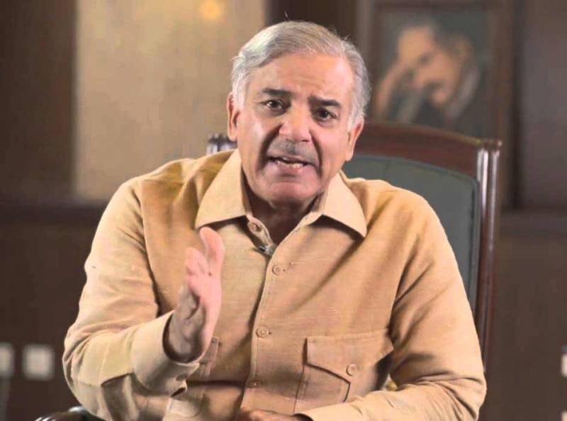 عوام کو گمراہ کرنے کی کوئی سازش کامیاب نہیں ہو گی: شہباز شریف