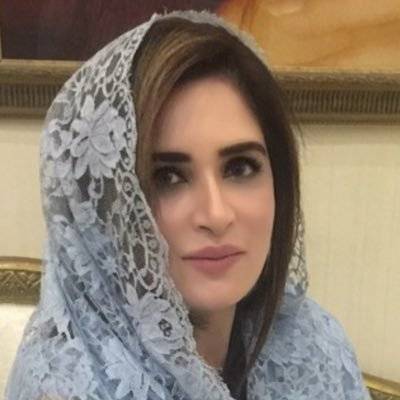 حمزہ شہباز کیخلاف ثبوت ہیں الیکشن کمیشن جا رہی ہوں: عائشہ احد 