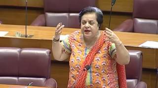 قومی اسمبلی اجلاس میں عائشہ گلالئی کی موجودگی پر شیریں مزاری کااعتراض ، اجنبی قرار دیدیا 