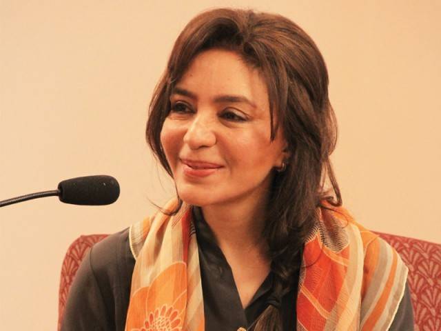 شہبازشریف پرریلی سے متعلق ذمےداری ڈالنا بے رحمانہ مطالبہ ہے، تہمینہ درانی 