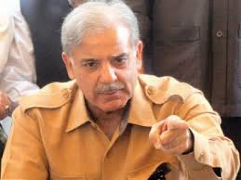 عوام نے عمران نیازی کو جھوٹا ثابت کر دیا، شہباز شریف