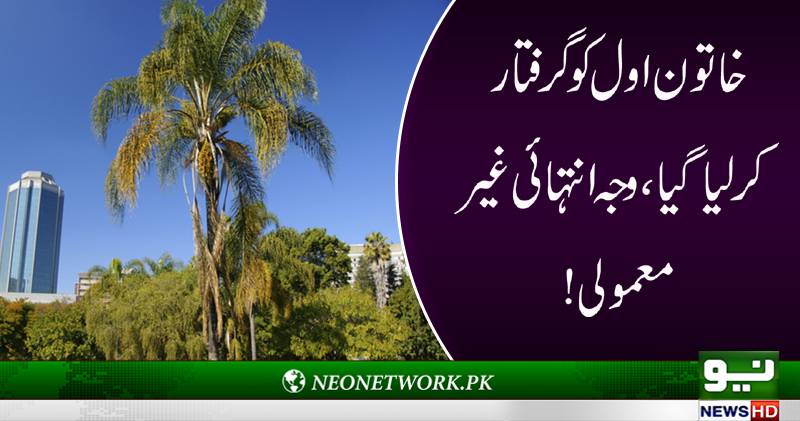 زمبابوے کی خاتون اول گریس موگابے نے گرفتاری پیش کر دی