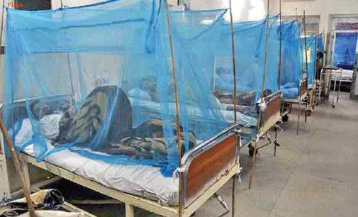 پشاور میں ڈینگی کا وار،مریضوں کی تعداد 900ہو گئی