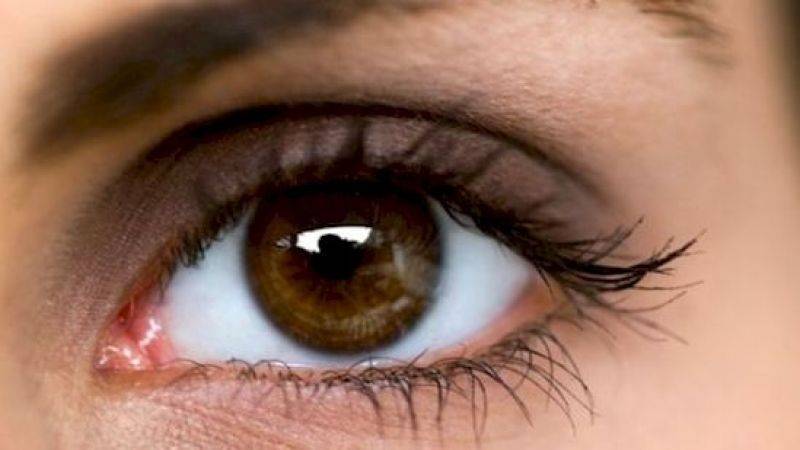 آنکھ کے قریب لال نشان کا اصل مقصد پتا چل گیا 