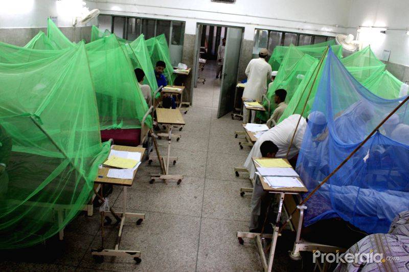 خادم اعلیٰ پنچاب نے کے پی ڈینگی مریضوں کیلئے ایک اور شاندار سروس شروع کر دی