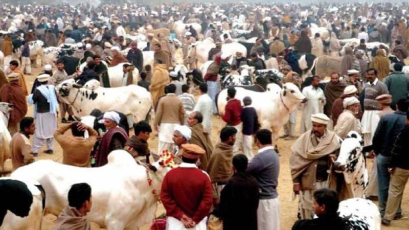 عیدالاضحیٰ پر ٹرین کے کرایوں میں کمی کا اعلان