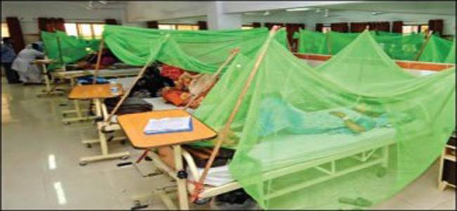 کے پی میں ڈینگی کے 11مریض سامنے آ گئے 
