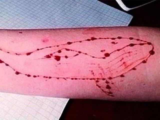 بلیوویل گیم نے پاکستان میں اپنا پہلا شکار کر لیا