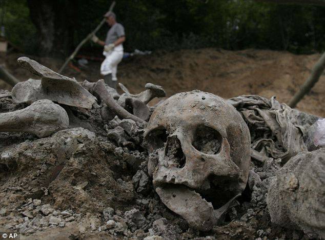 بوسنیا میں اجتماعی قبر سے 65 انسانی کھوپڑیاں برآمد