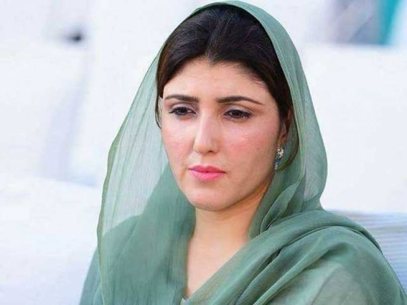 عائشہ گلالئی کو نااہل قرار دینے کی درخواست پر فیصلہ محفوظ