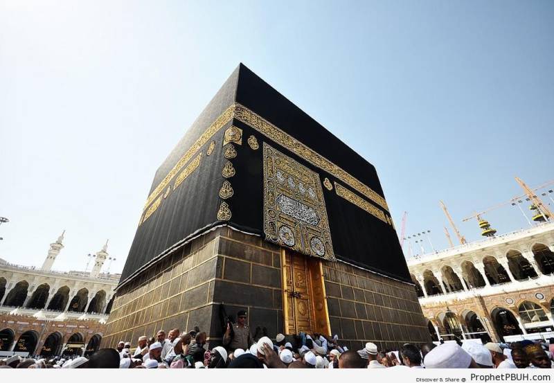 اس سال 15لاکھ سے زائد پاکستانی عمرہ زائرین سعودی عرب جائیں گے 