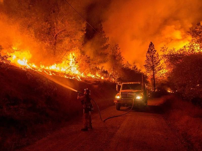 کیلیفورنیا کے جنگل میں خوفناک آگ، 1500 ایکڑ رقبہ جل کر راکھ بن گیا