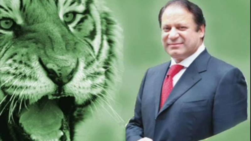 الیکشن کمیشن نے مسلم لیگ ن کا انتخابی نشان بحال کر دیا 