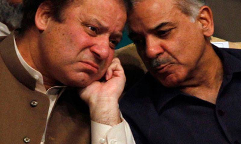 وزیر اعلیٰ شہباز شریف نے تقریر کے دوران نواز شریف کو جناب وزیر اعظم کہہ دیا
