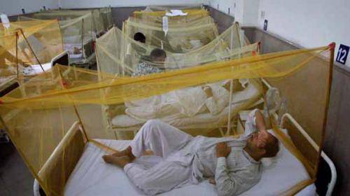 کراچی میں ڈینگی پھر سر اٹھانے لگا ٗ 2افراد جاں بحق 