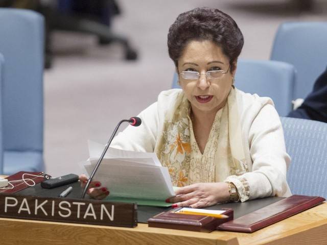 پاکستان سرحد پارسے دہشت گردی کرنے والی قوتوں کو بھی شکست دے گا، ملیحہ لودھی 