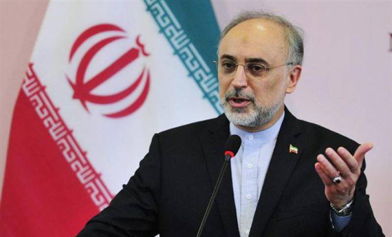 جوہری معاہدے پر سوال اٹھایا گیا تو ایران بھی بھرپور انداز میں جواب دے گا،علی اکبر صالحی