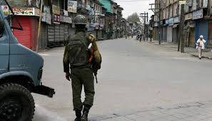  مقبوضہ کشمیر ایک الگ وطن ہے ،بھارت نے اعتراف کر لیا 