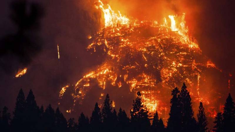کیلیفورنیا کے جنگلات میں آتشزدگی سے 31 افراد ہلاک 