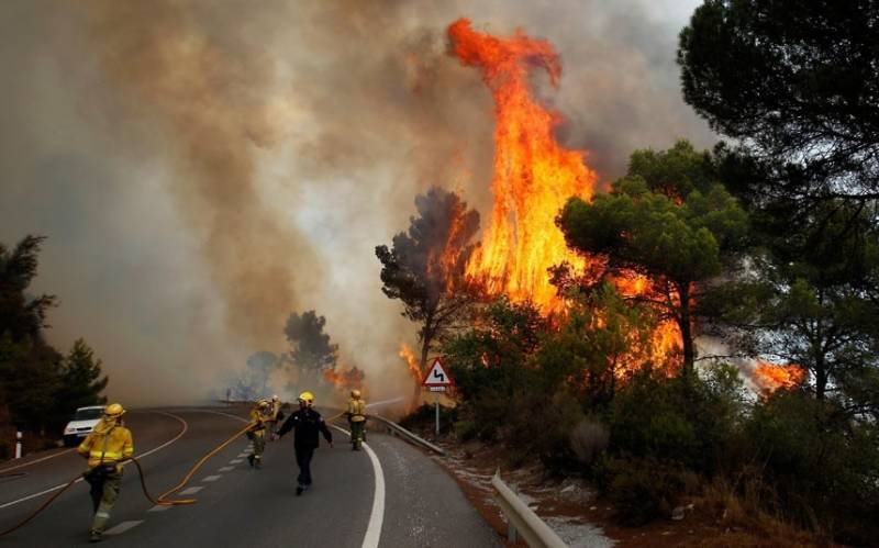 اسپین اور پرتگال کے جنگلات میں آتشزدگی سے ہلاکتوں کی تعداد 31 ہو گئی