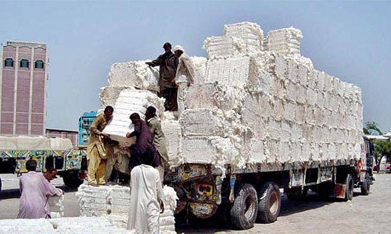 روئی کے آفیشل اسپاٹ ریٹس 6 ہزار 100 روپے اور 6 ہزار 537 روپے پر بند