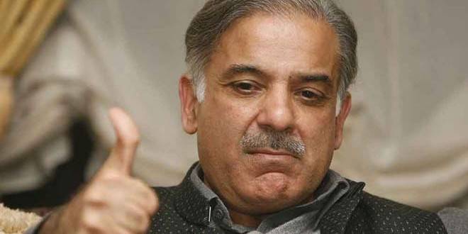  بہترین کھیل پیش کر کےقومی کھلاڑی ون ڈے سیریز جیت سکتے ہیں: شہباز شریف 