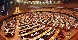 پارلیمنٹ کی رکنیت سے نااہل شخص سیاسی جماعت کا سربراہ نہیں بن سکتا 