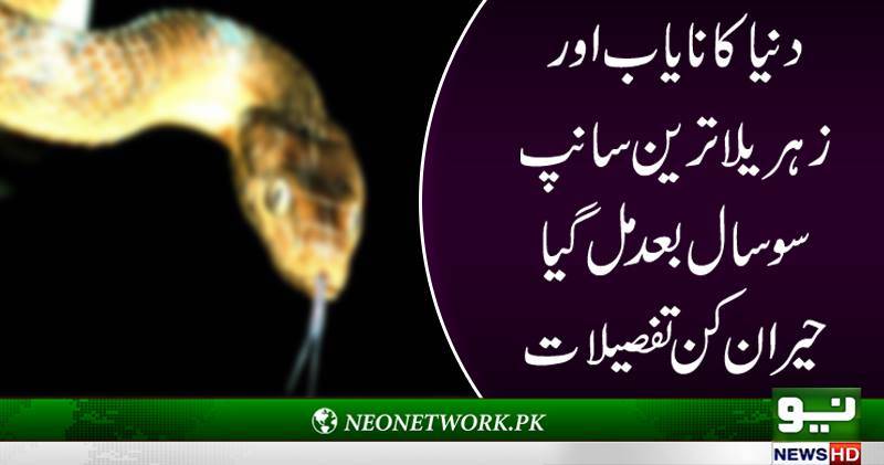 دنیا کا نایاب ترین اور زہریلا سانپ منظر عام پر آ گیا