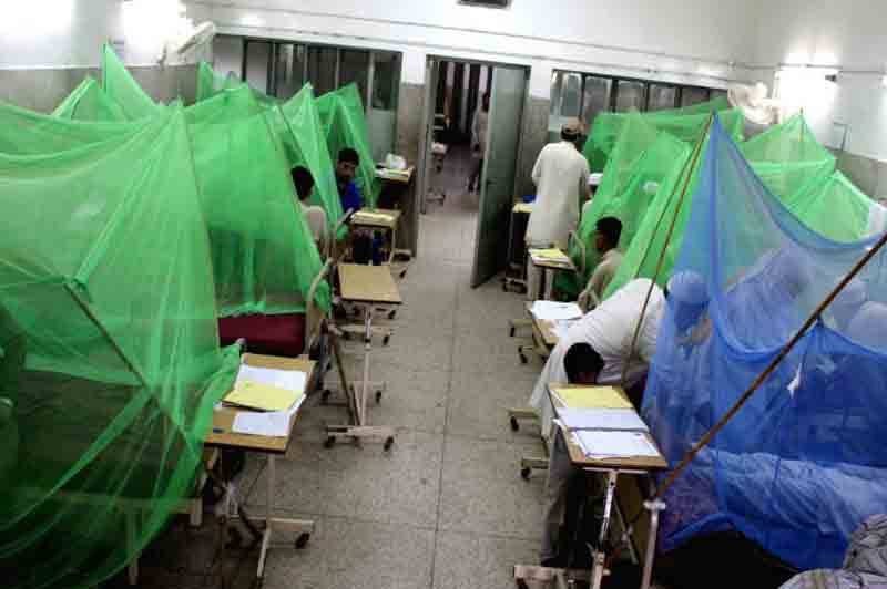 پشاور، ڈینگی نے ایک اور جان لے لی، ہلاکتوں کی تعداد 65 ہو گئی
