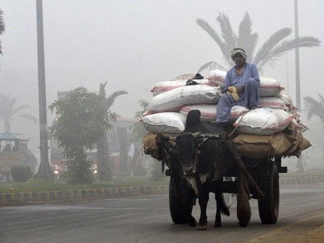 سموگ کا خوف،پاکستان کا چین سے مدد لینے کا فیصلہ