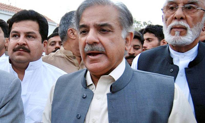پاکستان اور سعودی عرب میں اخوت کا تعلق ہے : شہباز شریف 