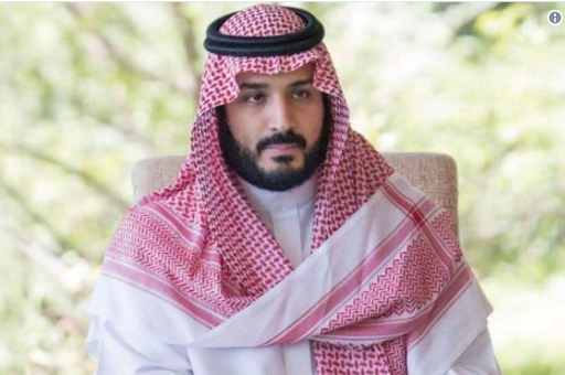 سعودی ولی عہد کو آپ نے ایسے انداز میں تو دیکھا ہو گا مگر نئی تصاویر دیکھ کر حیران رہ جائیں گے۔