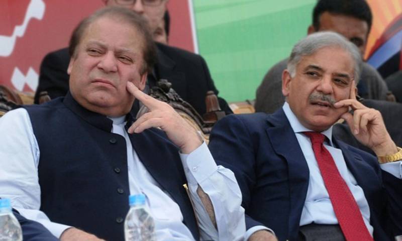میرے اور شہباز شریف کے درمیان کوئی اختلاف نہیں، نواز شریف