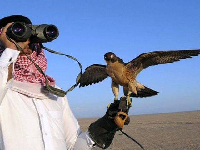 تھر میں غیر قانونی شکار، قطری خاندان کے خلاف مقدمہ درج