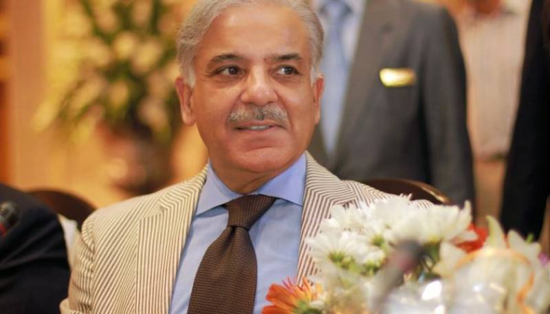 دھرنا گروپ نے عوام کا وقت برباد کرنے کے علاوہ اور کچھ نہیں کیا، شہباز شریف