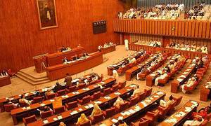 سینیٹ انتخابات،29 خواتین میدان میں آگئیں،پی پی کی7 امیدواروں کے کاغذات جمع