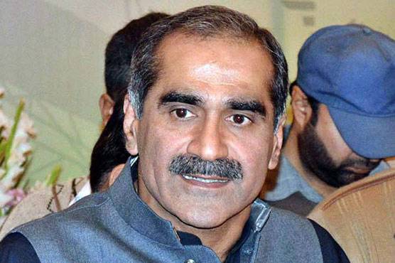 نوازشریف نے چوہدری نثار سے متعلق کوئی بیان نہیں دیا، سعد رفیق 