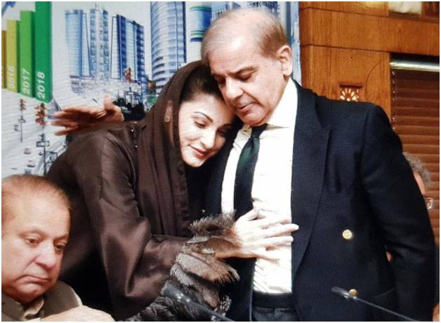 پارٹی صدر بننے پر مریم نواز کی چچا کو مبارکباد