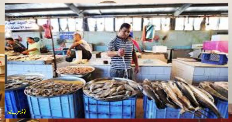 جازان کی مچھلی مارکیٹ پر غیر ملکی شہری حاوی، سعودی شہری پریشان 